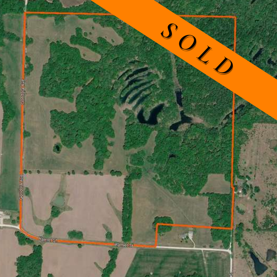 164.95 Surveyed Acres Near Thomas Hill Lake